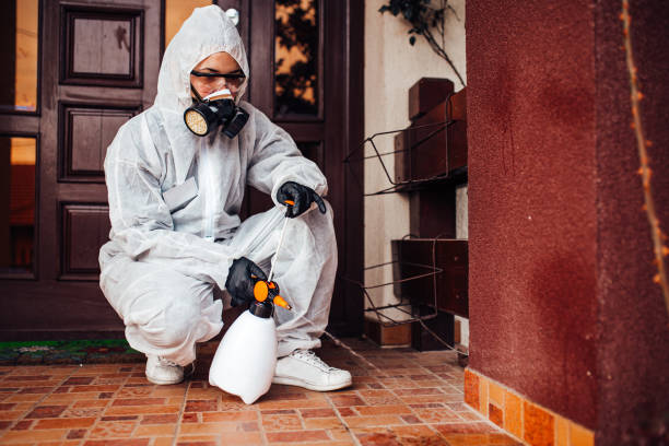 Reliable Cockroach Control contractor in Millbrook, AL by Nex Pest Control